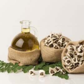 Pure organic moringa oil with moringa seeds in jute sacks — Organic Green Field